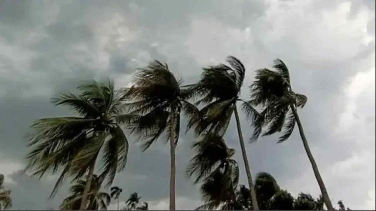 News Thumbnail-1