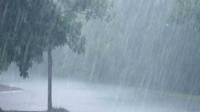 News Thumbnail-1